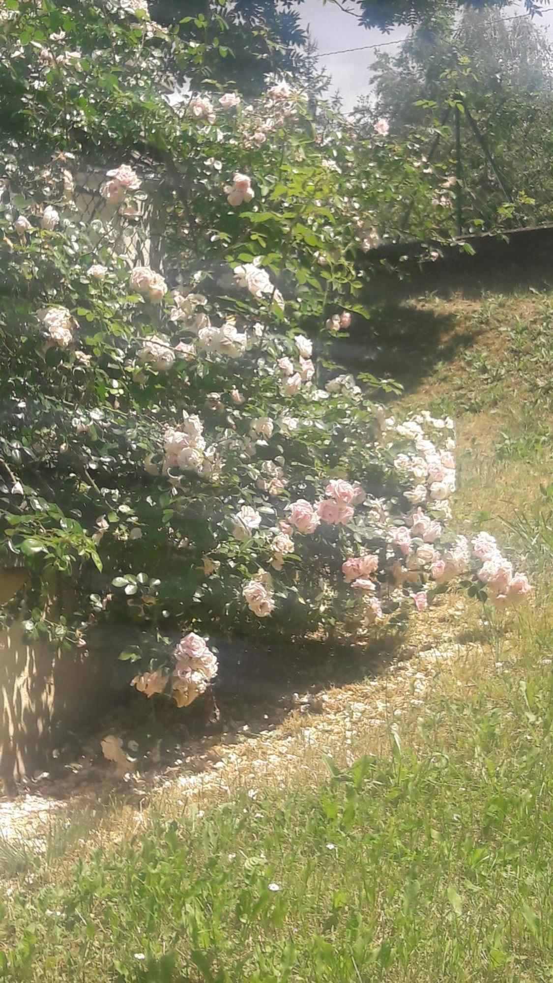 Appartamento Lizzano In Belvedere Querciola Esterno foto