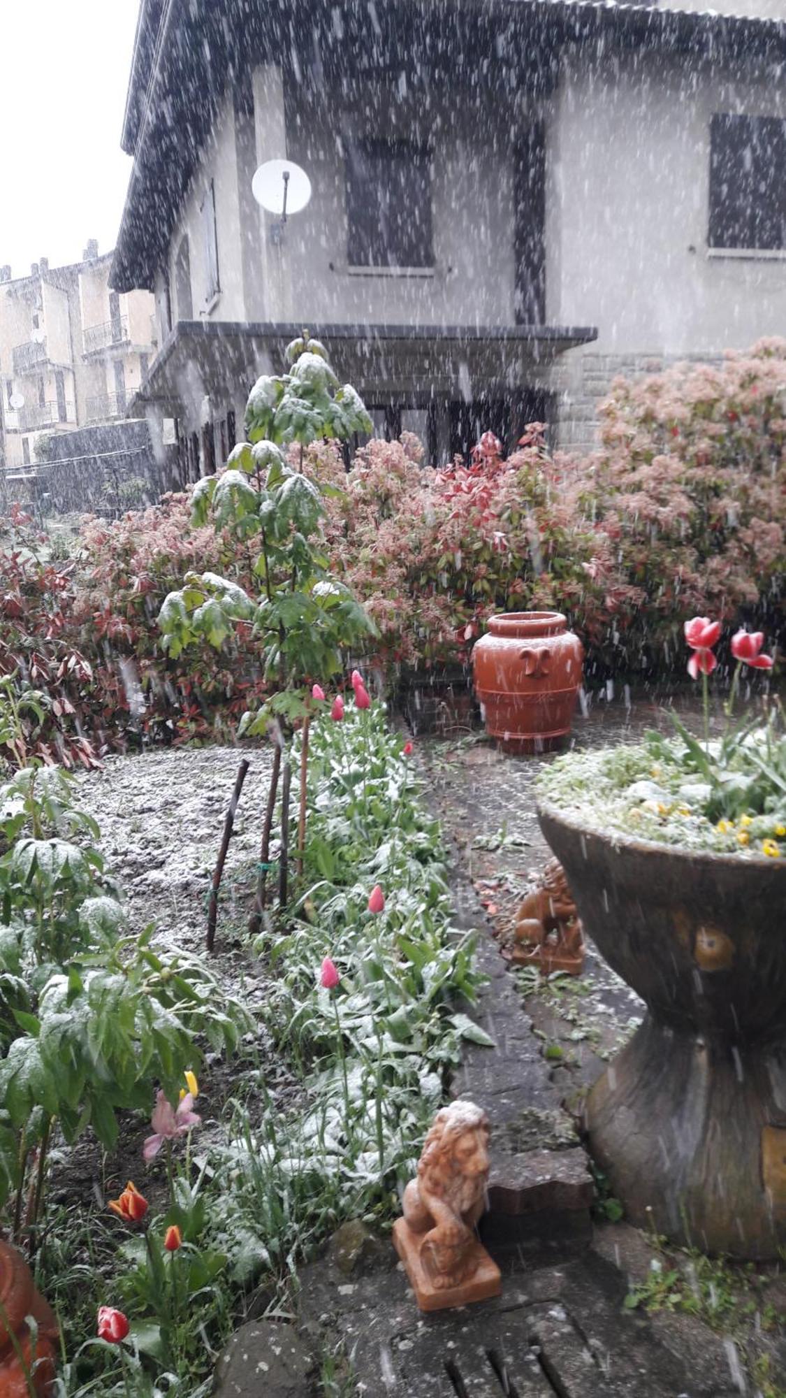 Appartamento Lizzano In Belvedere Querciola Esterno foto